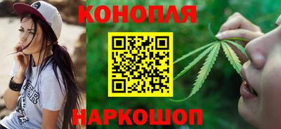 индика Будённовск