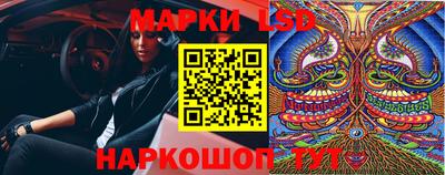 индика Будённовск