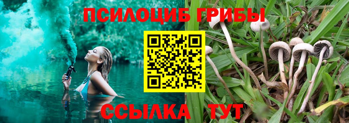 Псилоцибиновые грибы GOLDEN TEACHER Усть-Лабинск