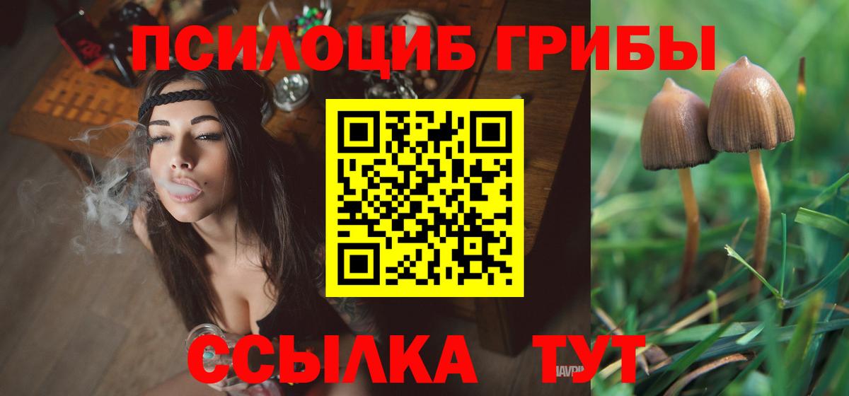 Галлюциногенные грибы MAGIC MUSHROOMS  Вход с VPN  Усть-Лабинск 